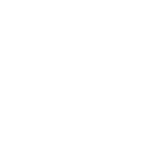 Ace Hardware